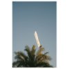 Glory x COPA Floodlights & Palm Trees T-shirt